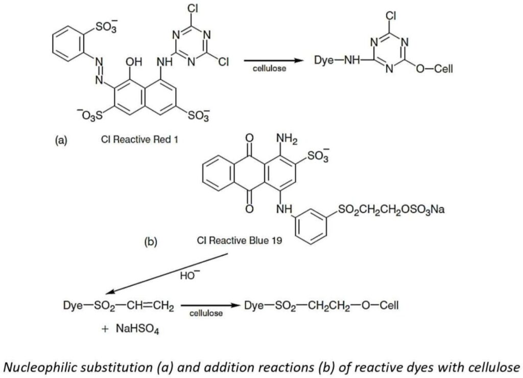 Application of Reactive dye 3 Basic Principle of Dyeing Cellulosics