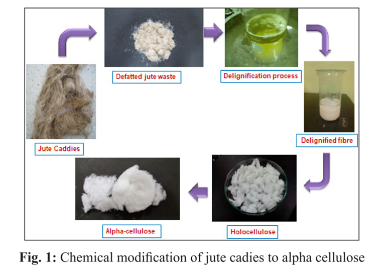 Nano-Cellulose from Jute Wastage: Resource for Sustainable Textile 1 Chemical Modification of Jute