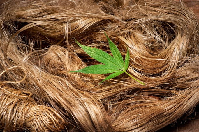 Material Spotlight: Hemp and Its Benefits 2 image 20