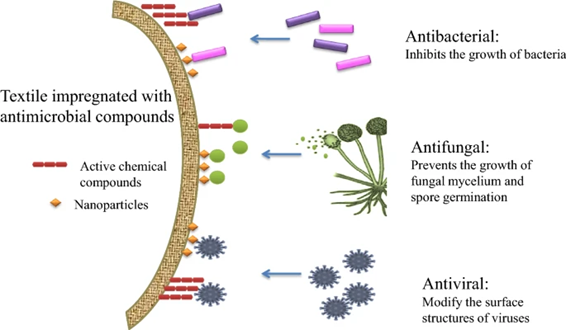 Chitosan Nanoparticles for Antibacterial Textiles: Enhancing Performance and Durability 4 image 490